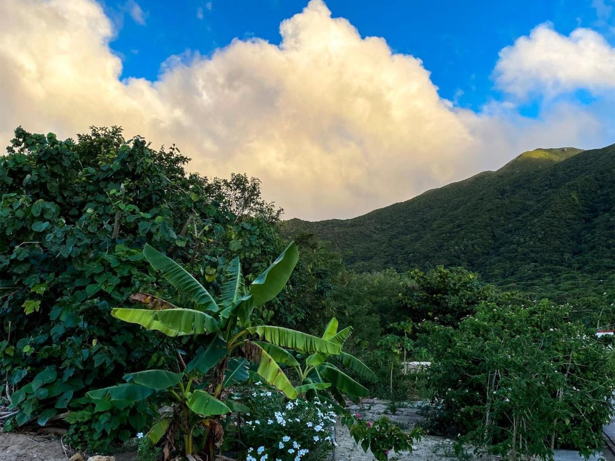 Yonehara Beach Stay Luana - Vacation Stay 38711V Fukai Экстерьер фото